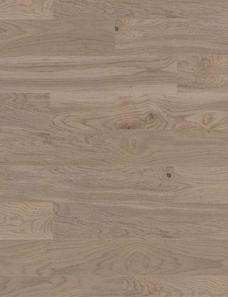 Pilkas ąžuolas Six_4Him